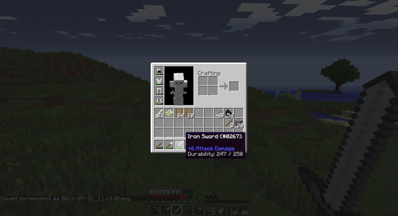 How To See Dmg In Minecraft